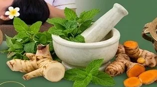 Herbal Therapy
